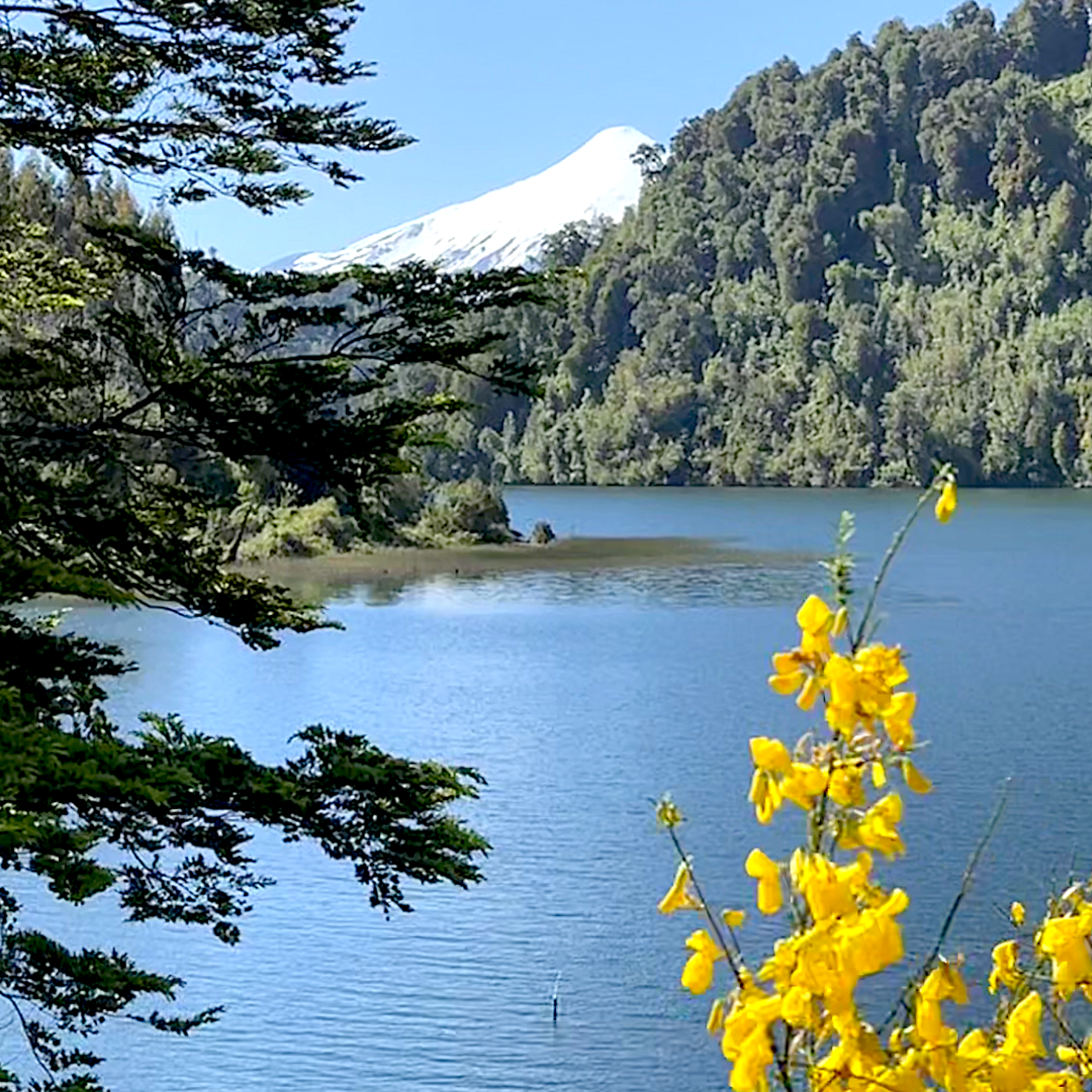 Coaching Sessions With Gian Before Awakening