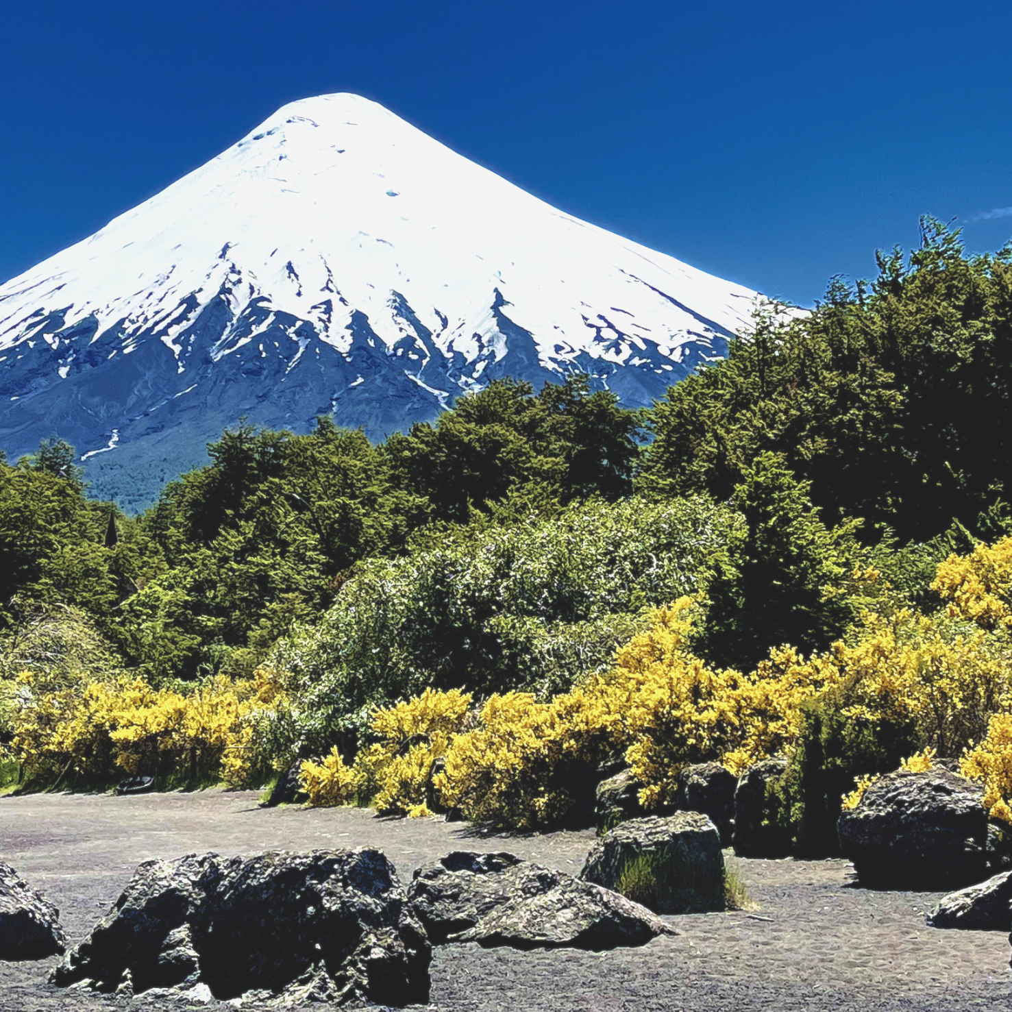 The Awakening Protocol