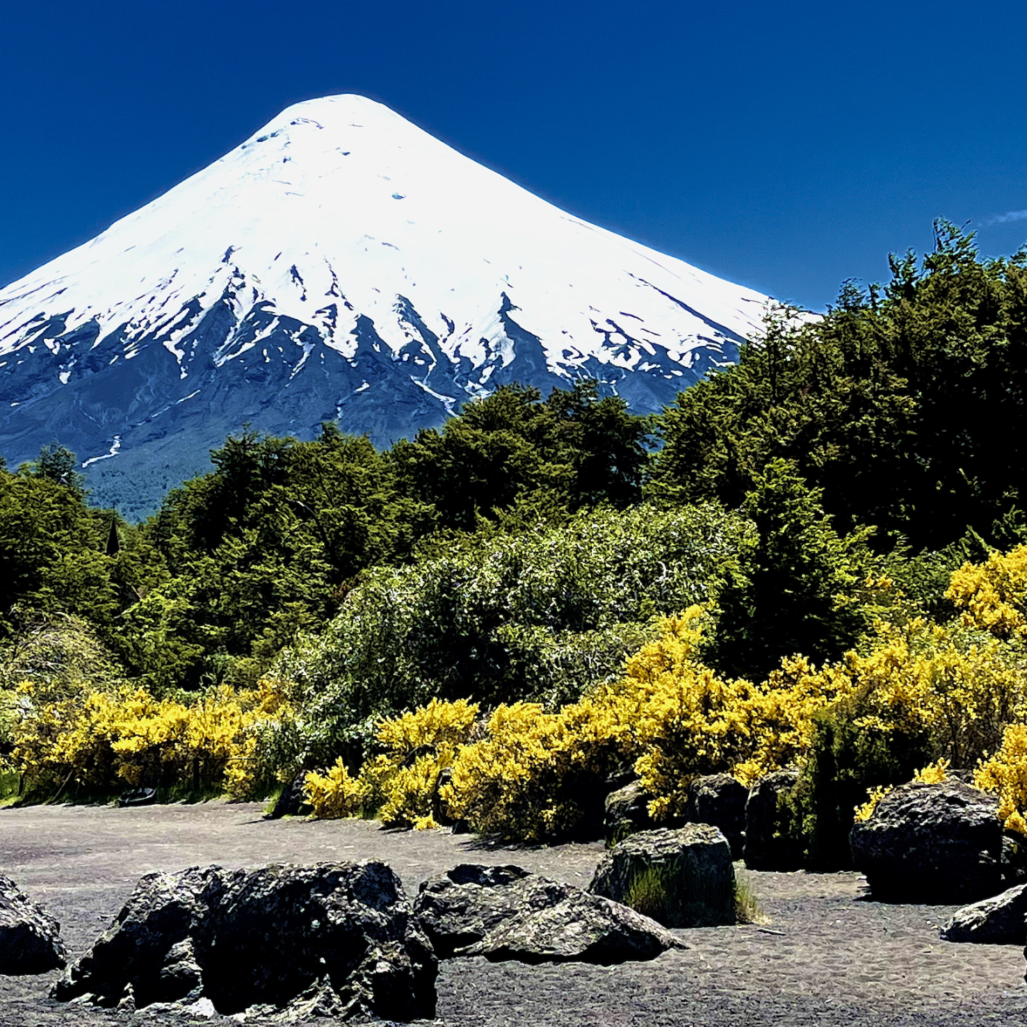 The Awakening Protocol